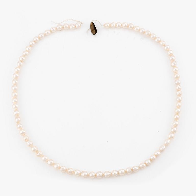 A necklace of cultured pearls without a clasp.