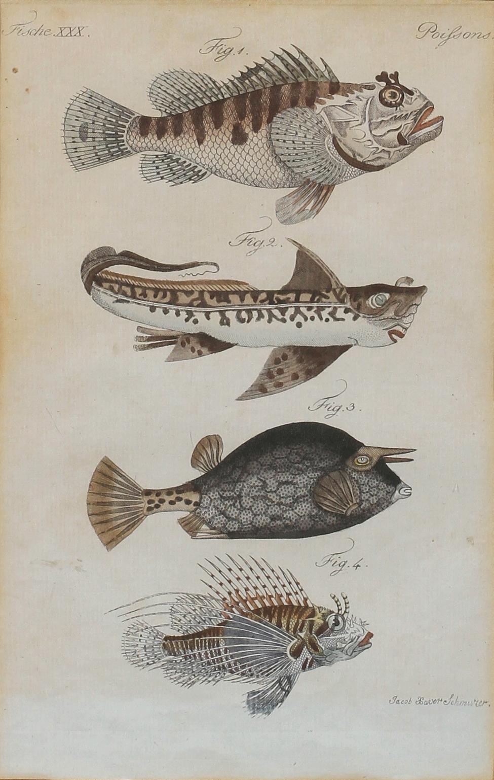 KOLORERAT KOPPARSTICK, 1800-tal.