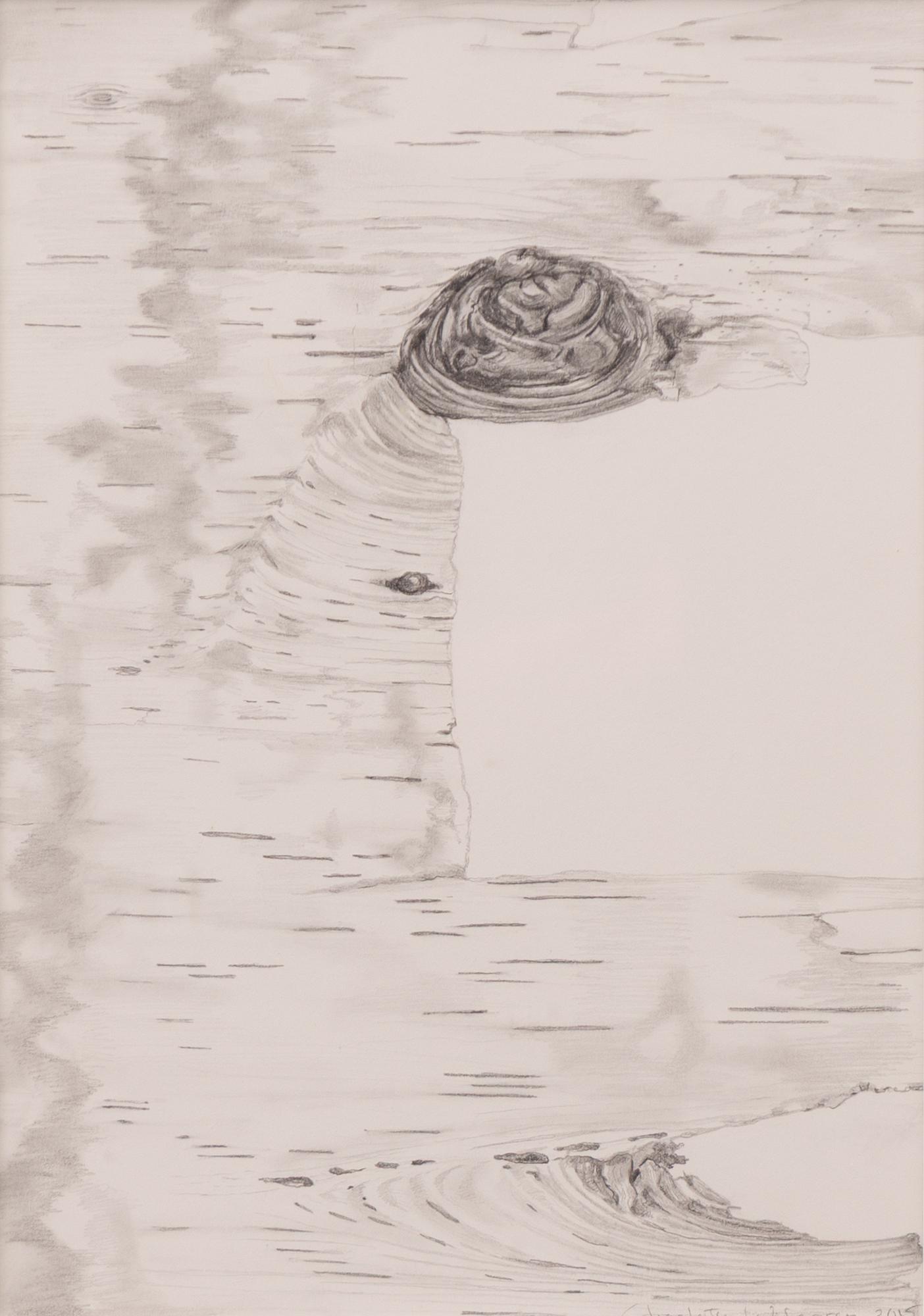 Charlotte Widegren, "Utan Titel, Dröm".