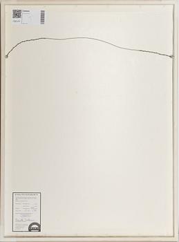 Pierre Olofsson, Utan titel.