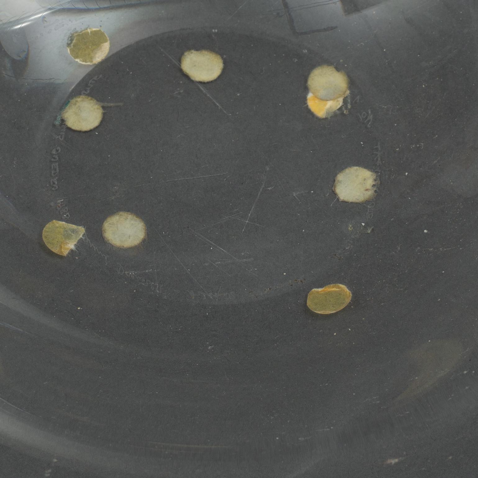 Hanne Dreutler & Arthur Zirnsack, "Äpple-Plommon-fat  nr 1", med åtta frukter i glas, Studio Åhus, 1988.