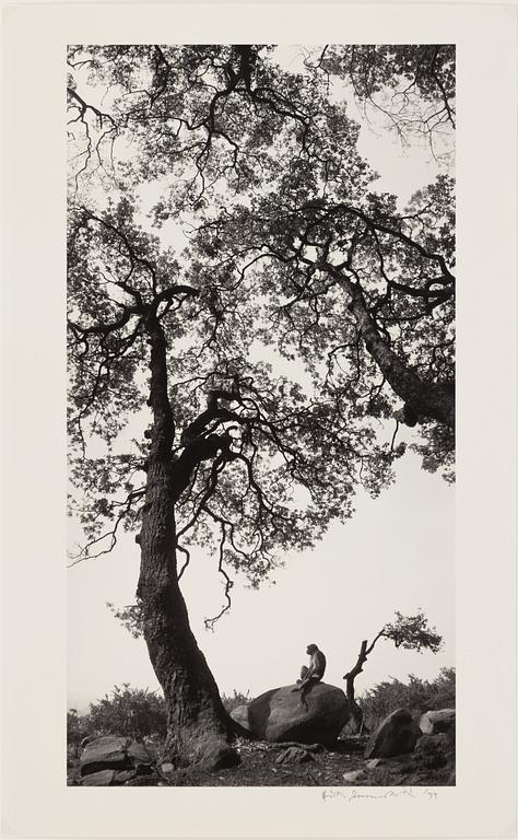 Pentti Sammallahti, "Swayambhunath, Nepal, 1994".