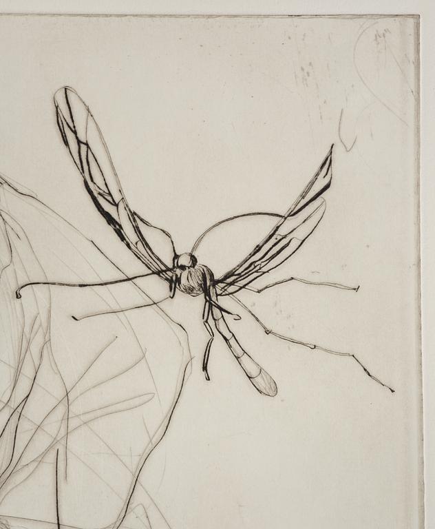 Linn Fernström, Untitled.