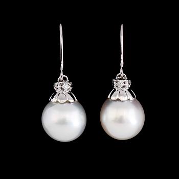 ÖRHÄNGEN, 1 par, 14K vitguld, vittonade South Seapärlor, diamanter tot ca 0.05 ct.