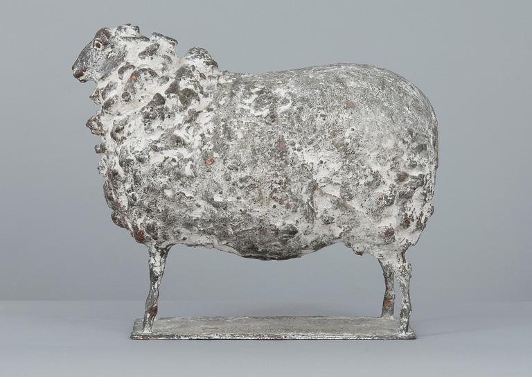 Nina Terno, A SHEEP.