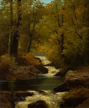 Francis Muschamp, Vattenfall.
