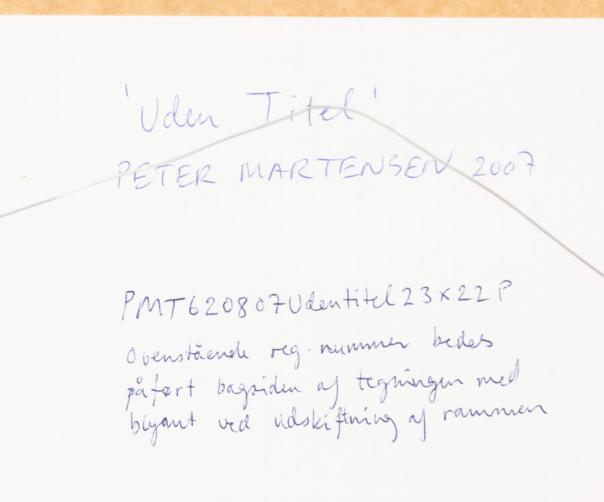 Peter Martensen, "Untitled".