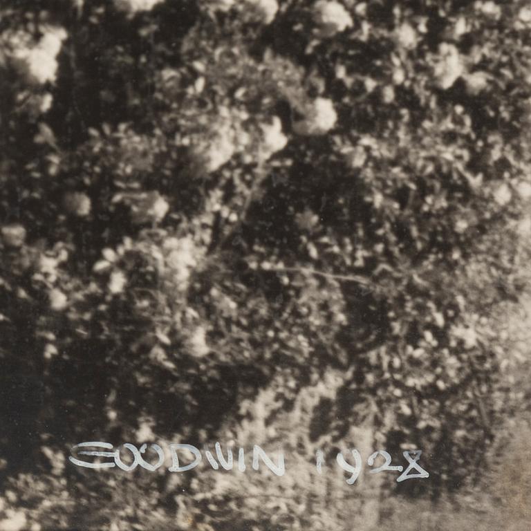 HENRY B. GOODWIN, tre fotografier signerade Goodwin och daterade 1928.