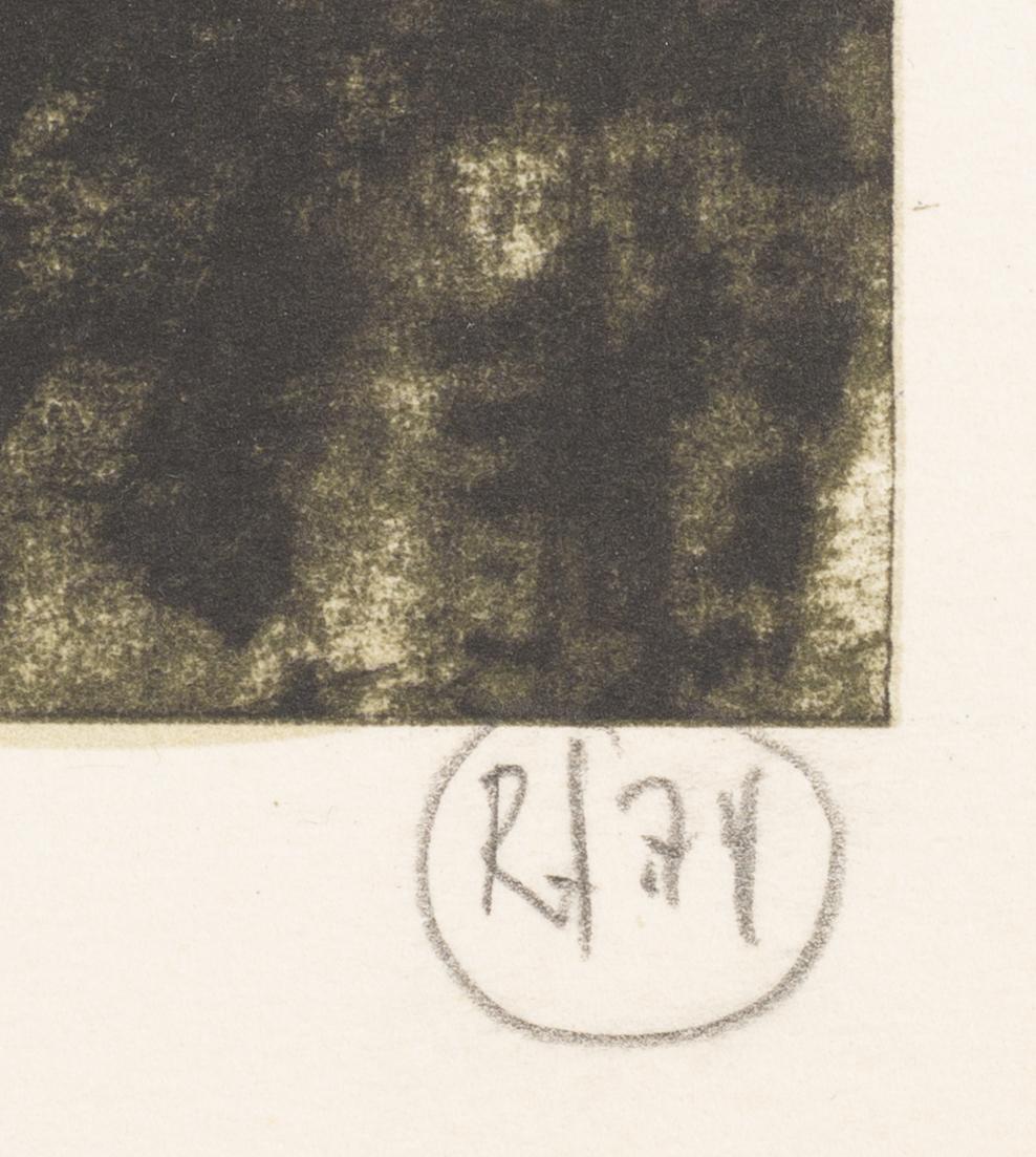 Roj Friberg, Björkskog.