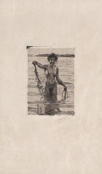195. Anders Zorn, "Seaweed".