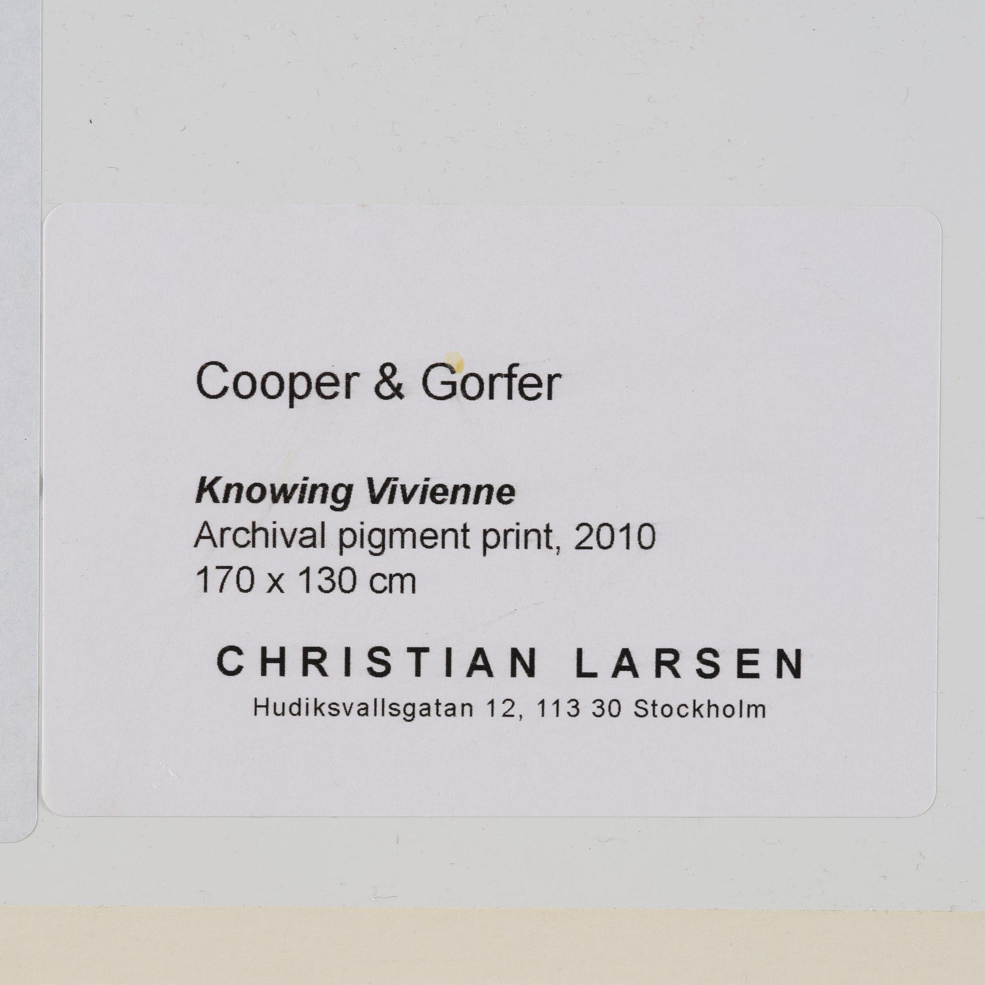 Cooper & Gorfer, "Knowing Vivienne", 2010.