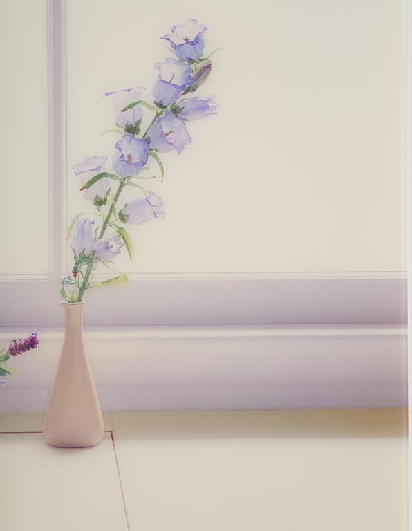 Uta Barth, "Untitled (06.11)".2006.