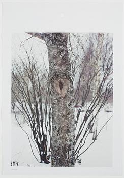 ANDREAS ERIKSSON, portfolio. Signed AE inside the box and numbered 18/250.