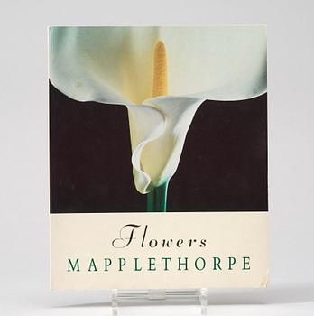 Photo books, 5, Robert Mapplethorpe.
