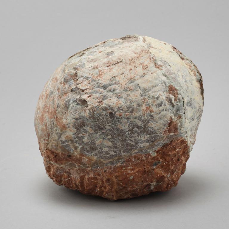 DINOSAURIEÄGG, fossil.