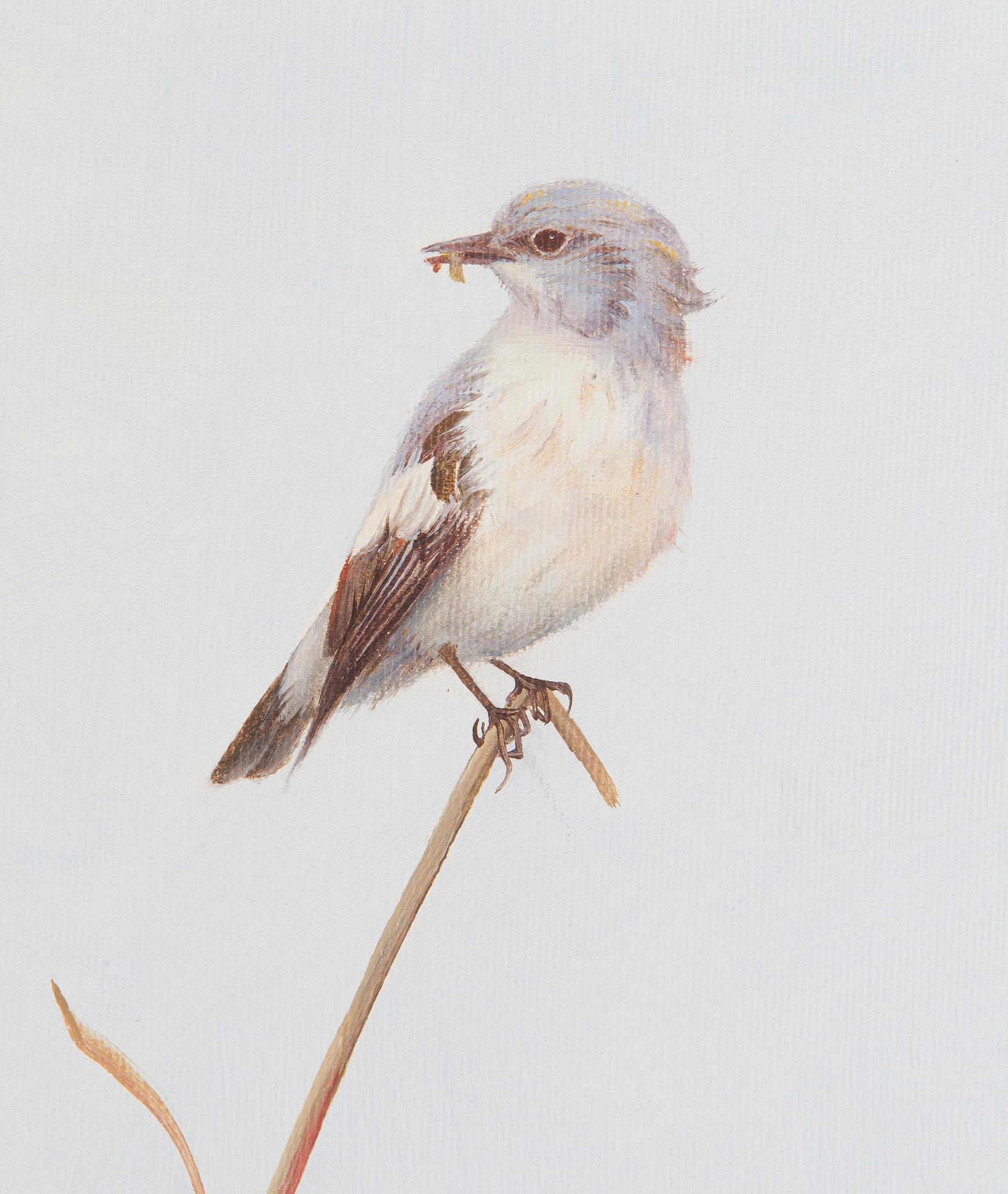 Reima Nurmikko, Fishing.