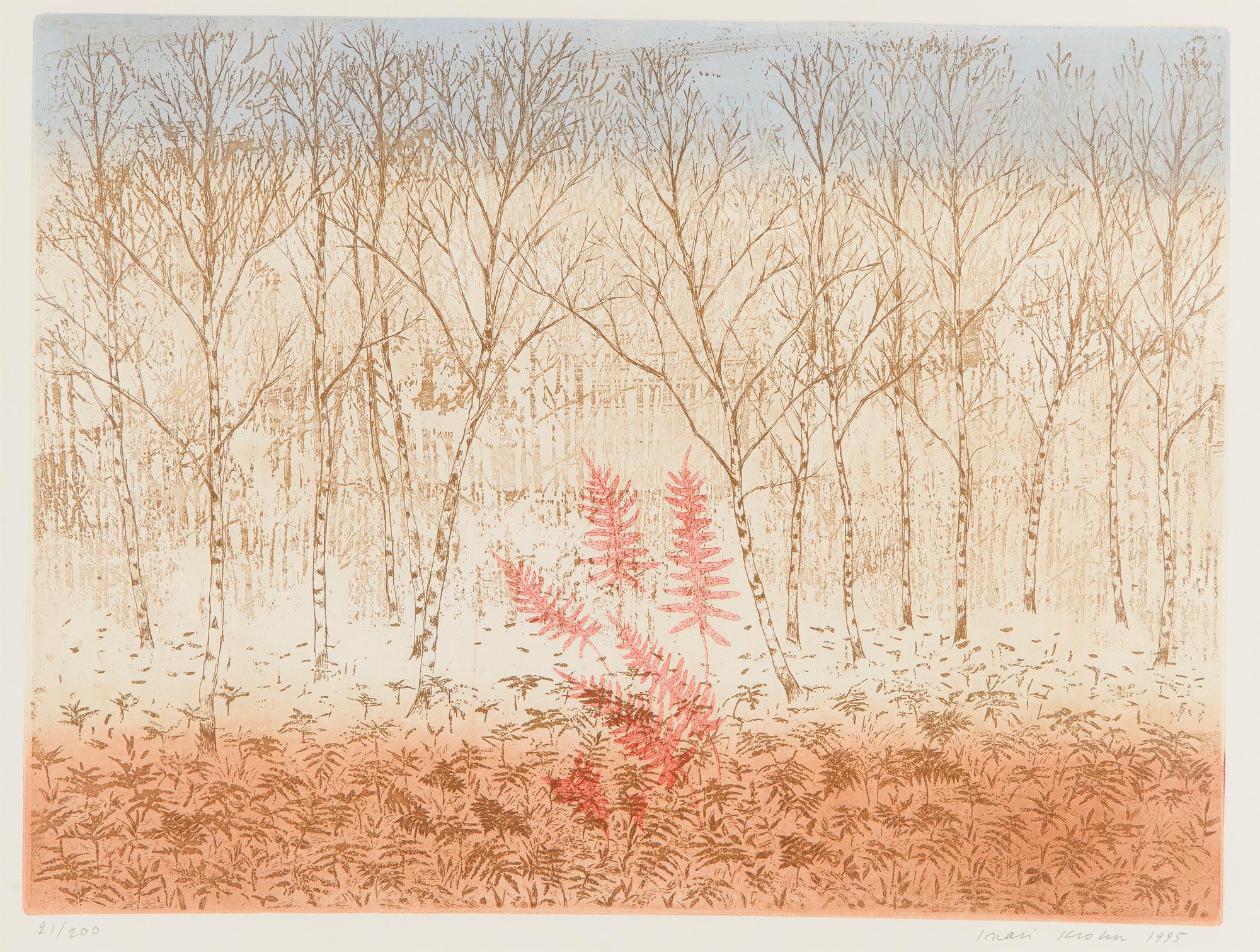 Inari Krohn, Kevätkoivikko.