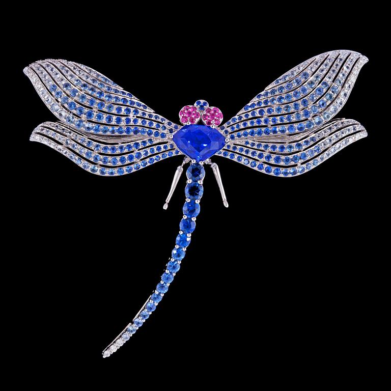 A sapphire, ruby and diamond dragon fly brooch.