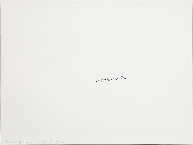 Peter de Ru, "Bruno K Öijer i Småland, 1984".