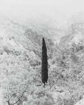 328. Lennart Olson, "S:t Agnes, Provence", 1955.