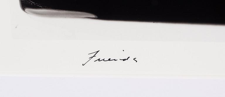 William Wegman, "Friends".