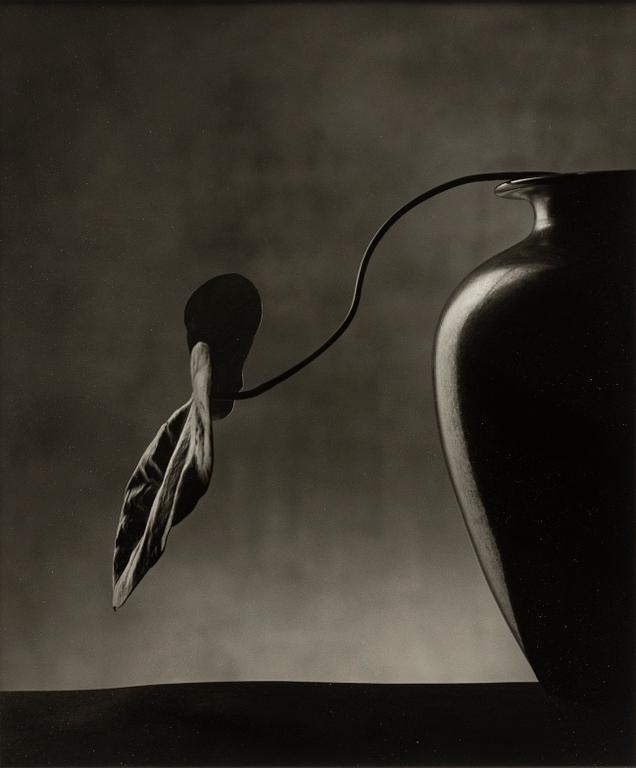 Christian Coigny, "Vase Noir", 1988.