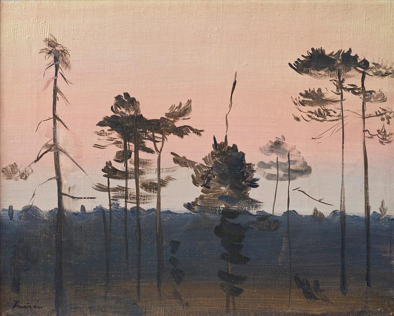 Vera Frisén, Forrest at twilight.