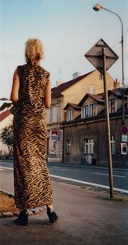 Ann-Sofi Sidén, "Eva x 2", 2001.