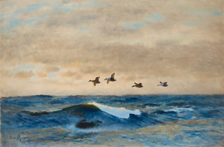 Bruno Liljefors, Common eiders.