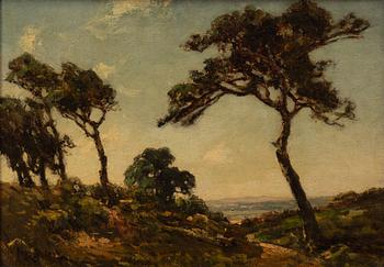 José Weiss, Sunlit trees.