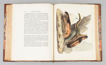 A book, Arthur de Capell Brooke: Travels through Sweden, Norway, and Finmark, London 1823.