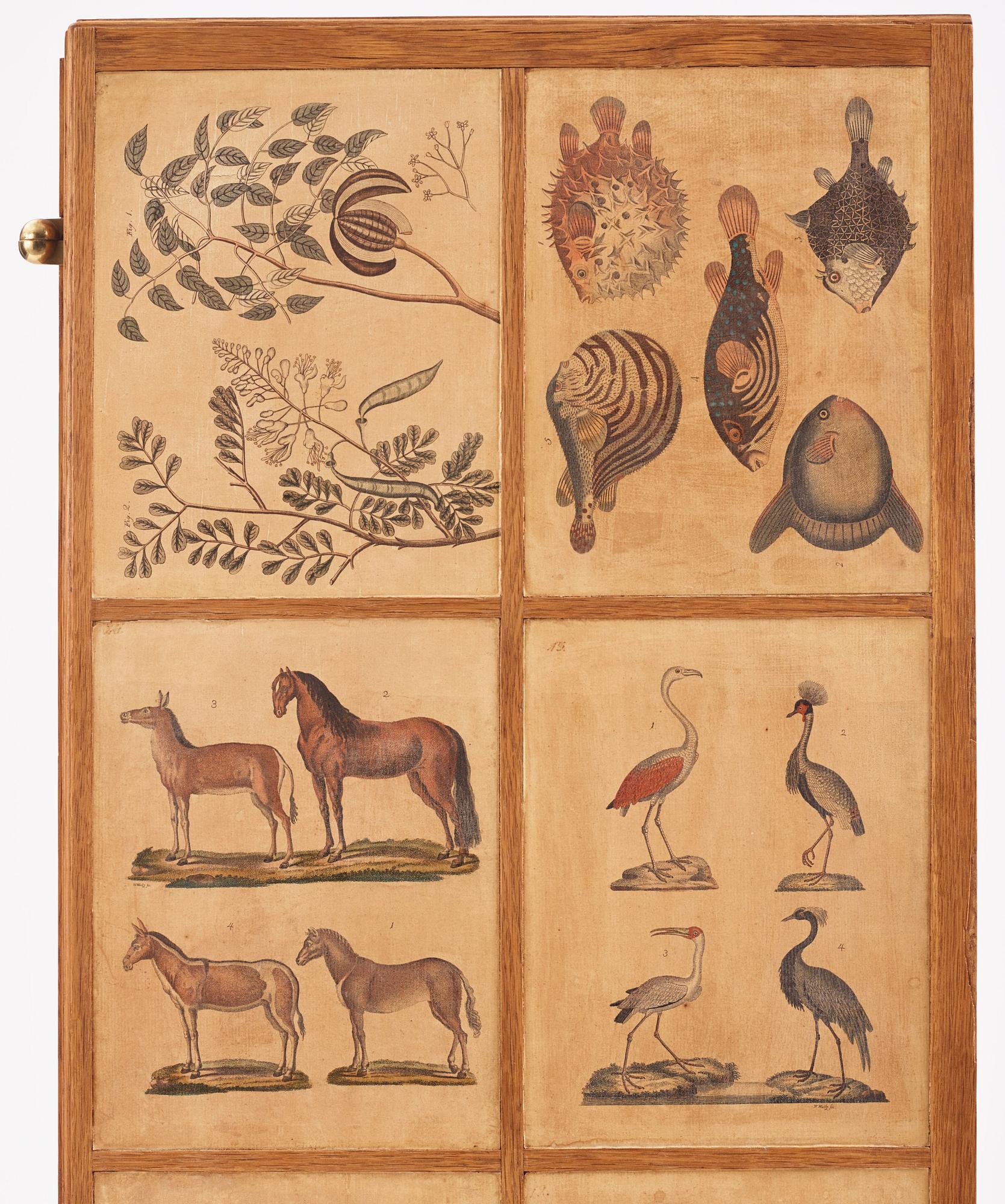 Josef Frank, praktskåp med djur- och växtplanscher, Firma Svenskt Tenn, 1940-tal.