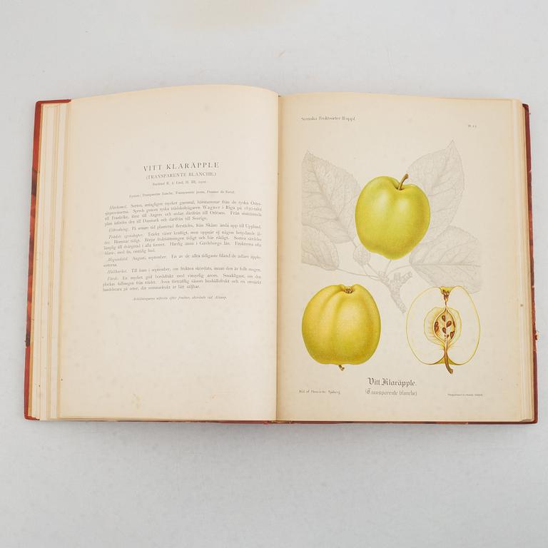 Axel Pihl & Jakob Eriksson, book, 'Svenska Fruktsorter', P.A. Norstedt & Söners Förlag, Stockholm 1924.