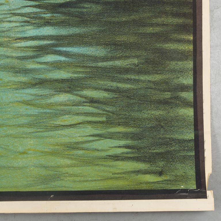 a poster from Sutro Baths San Francisco circa 1896.