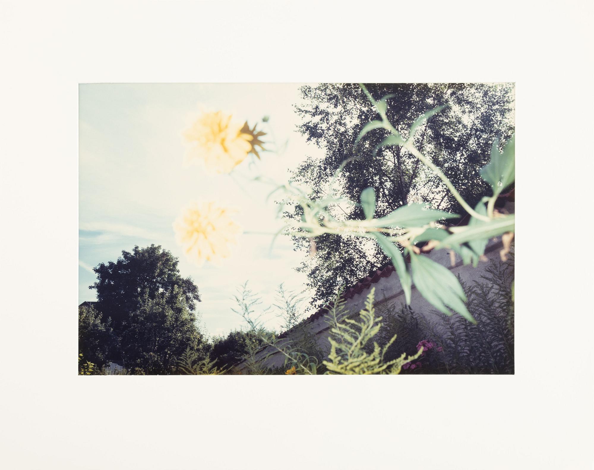 Åke E:son Lindman & Sven Westerlund, portfolio, 2 + 2 photos, signed 18/20.