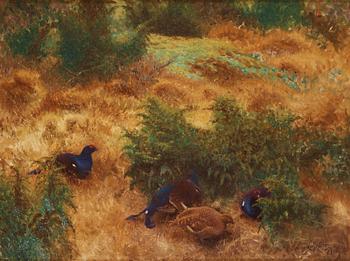 Bruno Liljefors, Autumn landscape with black grouse.