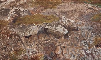 720. Bruno Liljefors, "Ormterräng" (Snake terrain).