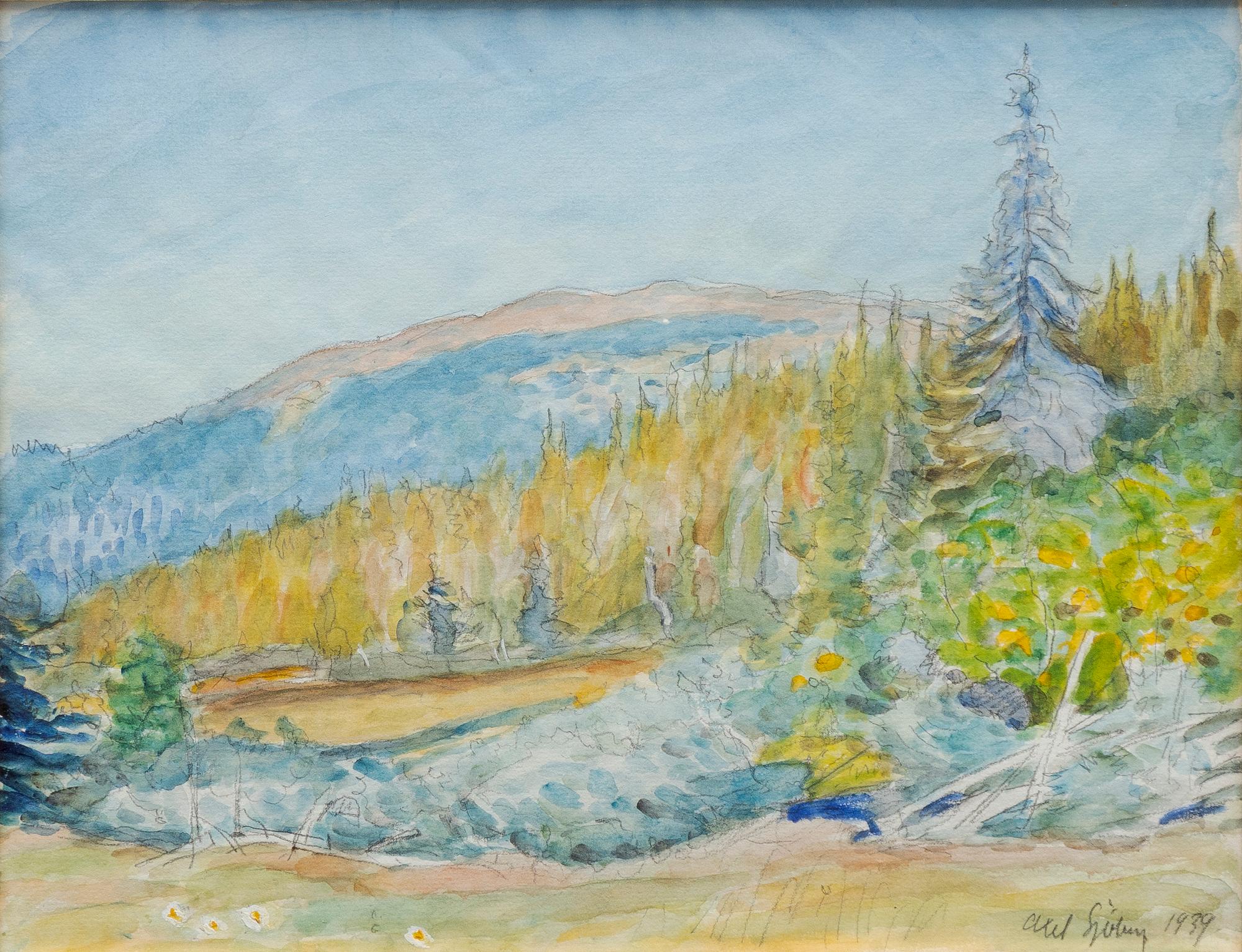 Axel Sjöberg, Solbelyst fjäll.