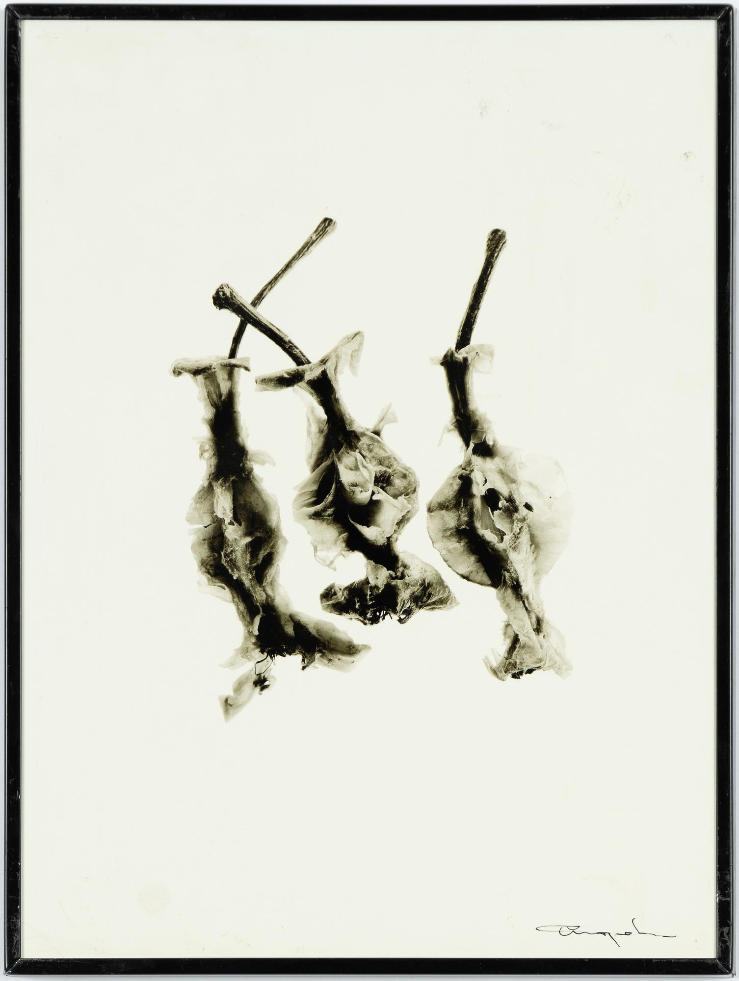 Ingvar Eriksson, apples.