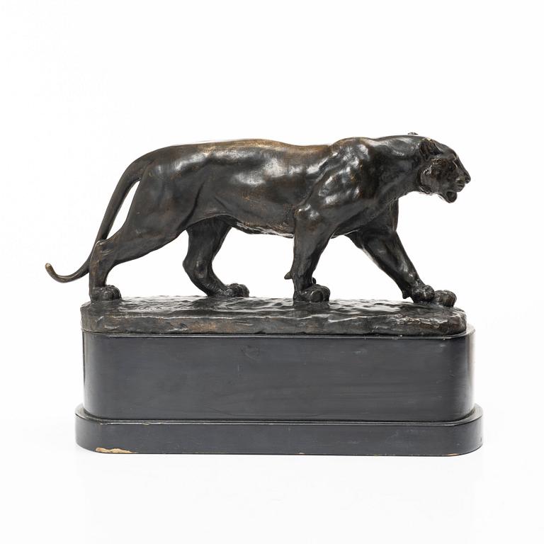 Johan Axel Wetterlund, Tiger.