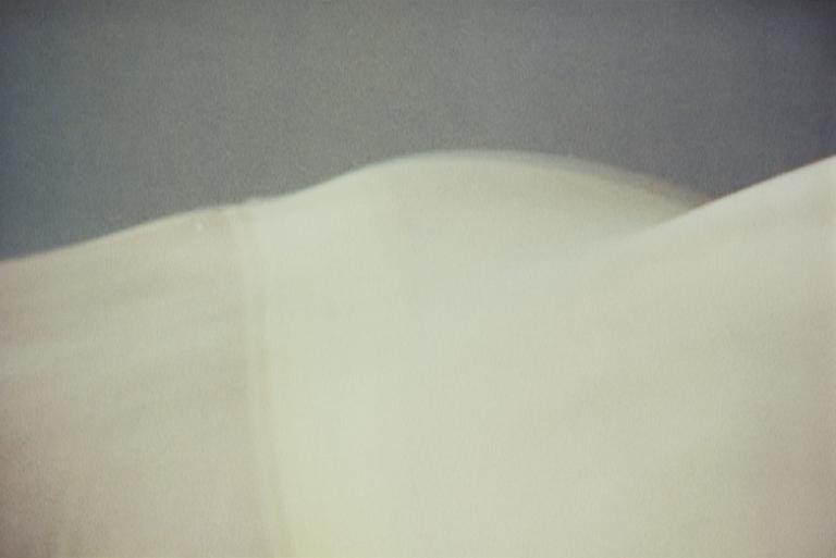 PAOLA SUHONEN, colour print on aluminium, a tergo signed and dated 2016, numbered 1/1.