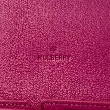 Mulberry, clutch/travel organiser.