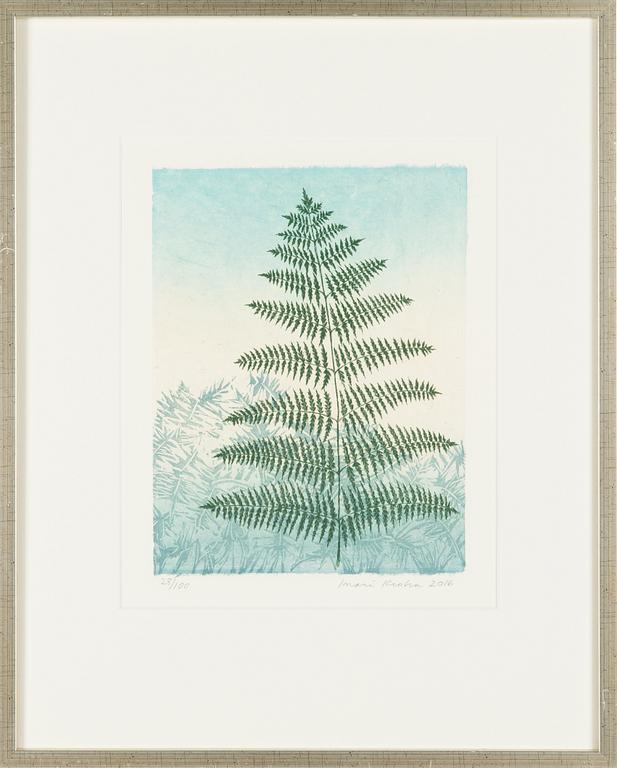Inari Krohn, etching, signed and dated 2016, numbered 28/100.