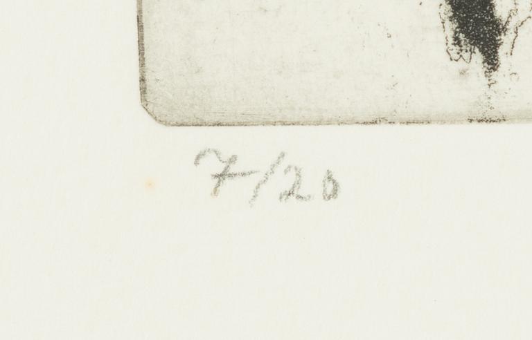 Lena Cronqvist, Porträtt.