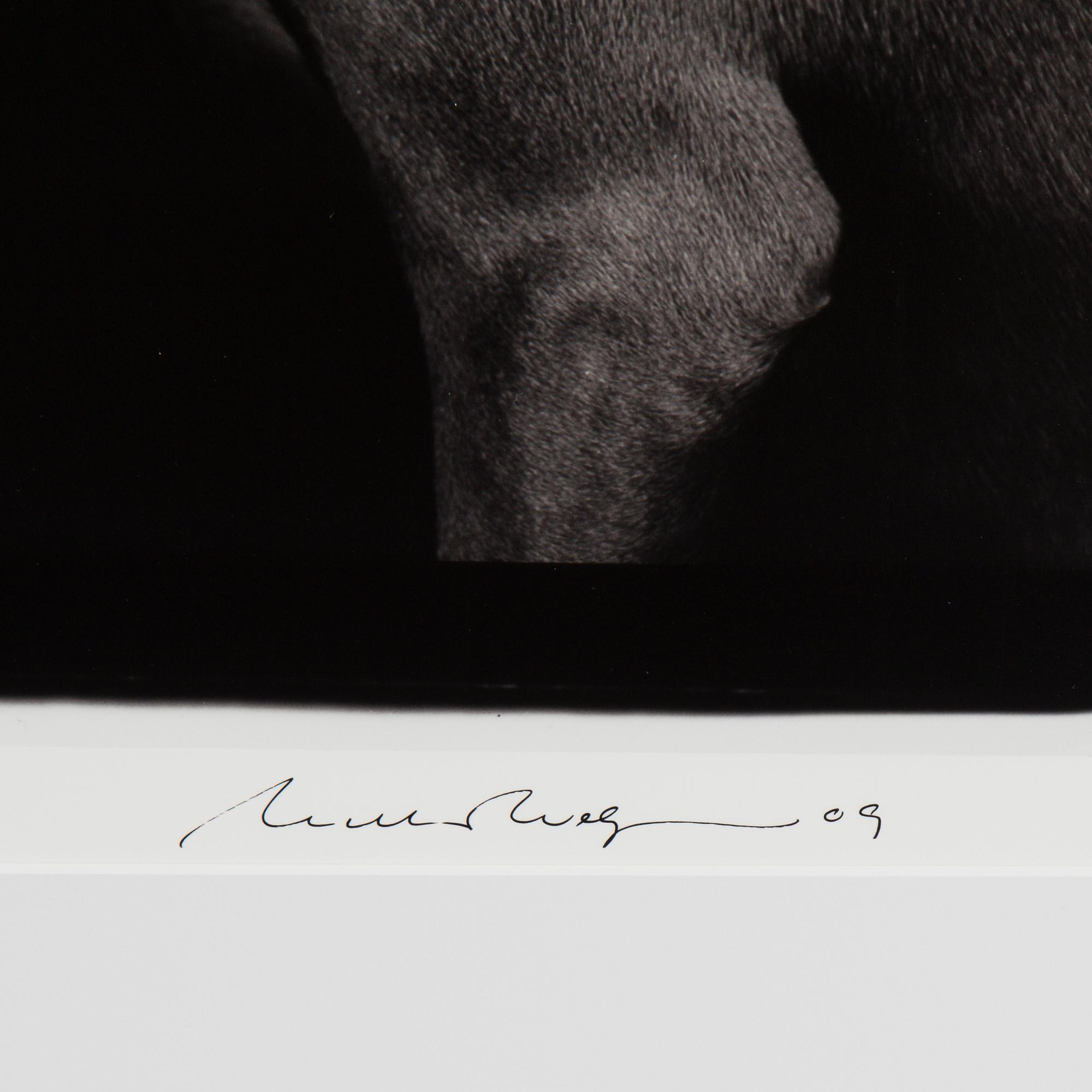 WILLIAM WEGMAN, photography signed William Wegman, edition of 1500.