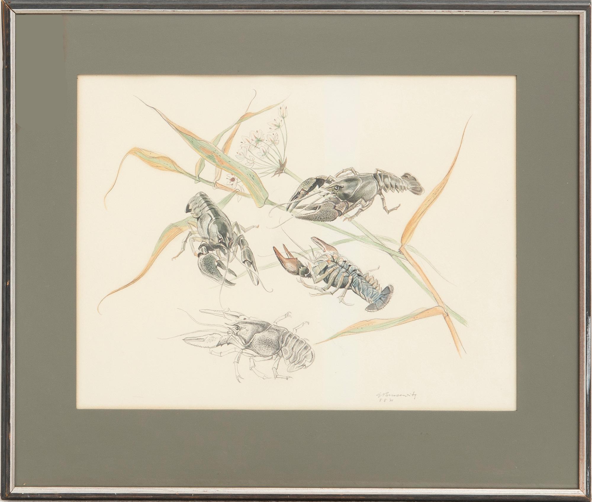 Gunnar Brusewitz, crayfish.