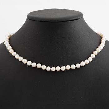 Collier odlade pärlor lås 18K guld.