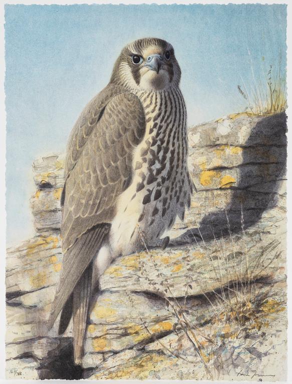 Lars Jonsson, portfölj "Dagrar", 2000,  med 12 färglitografier, signerade 167/366.