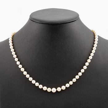 A necklace and a pair of earrings in 18K gold and cultured pearls.