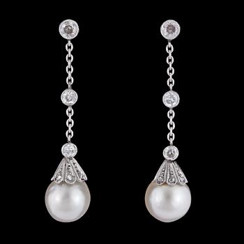 1286. ÖRHÄNGEN, WA Bolin, odlade pärlor, ca 7,8 mm, med gammalslipade diamanter, tot. ca 0.35 ct. Stockholm 1933.